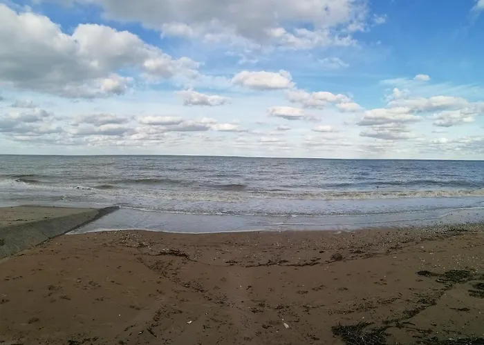 Bel T2 150m Et Tous Commerces Villers-sur-Mer